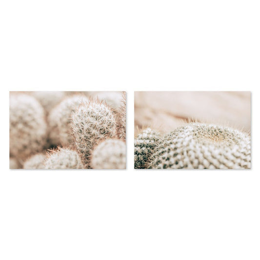 wall-art-print-canvas-poster-framed-Hairy Cactus, Set Of 2-by-Gioia Wall Art-Gioia Wall Art