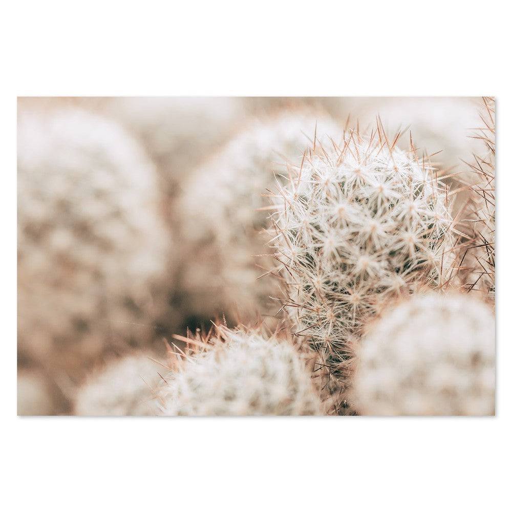 wall-art-print-canvas-poster-framed-Hairy Cactus, Style A-by-Gioia Wall Art-Gioia Wall Art