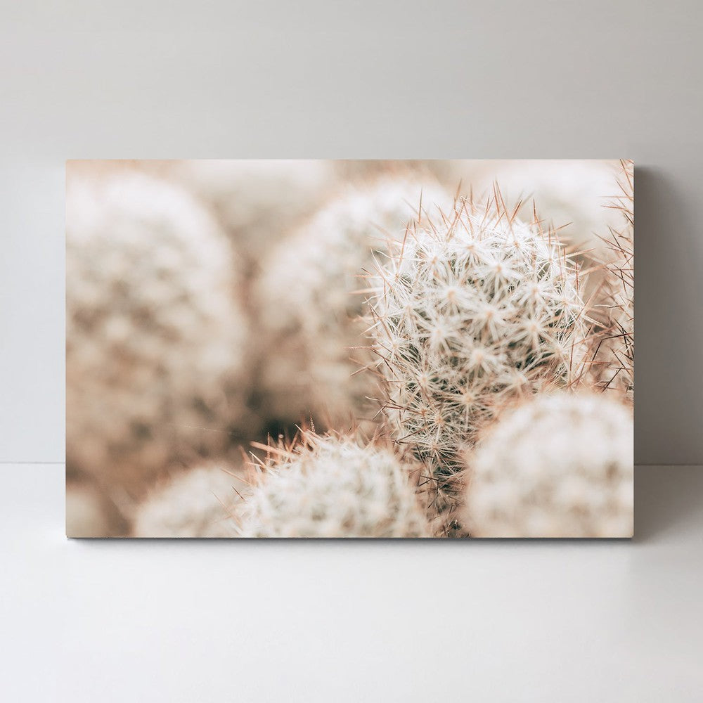 wall-art-print-canvas-poster-framed-Hairy Cactus, Style A-by-Gioia Wall Art-Gioia Wall Art