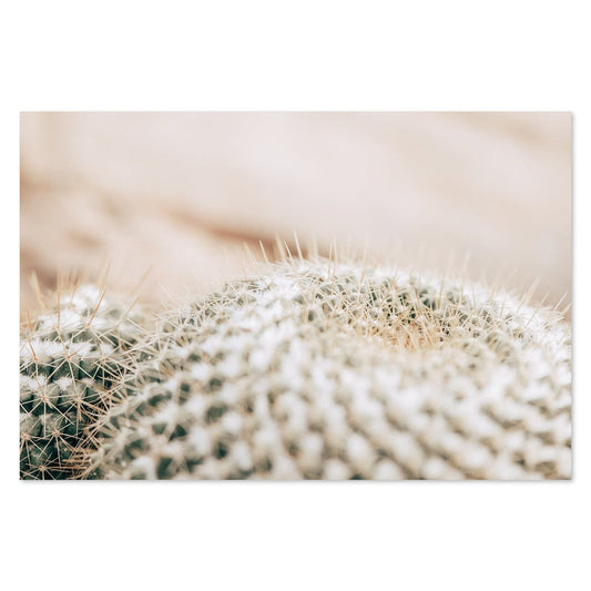 wall-art-print-canvas-poster-framed-Hairy Cactus, Style B-by-Gioia Wall Art-Gioia Wall Art