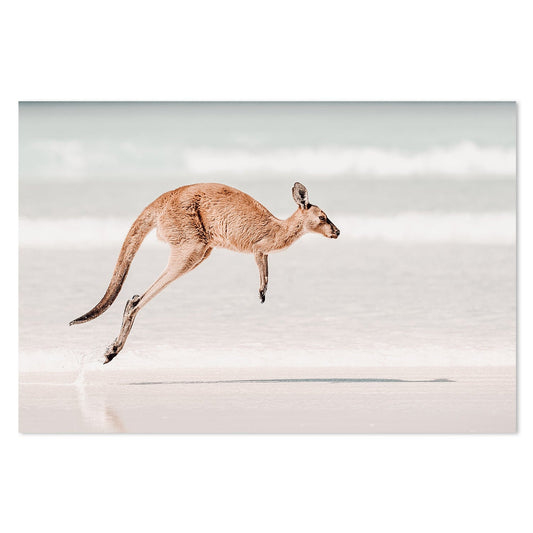 wall-art-print-canvas-poster-framed-Hopping Kangaroo At Lucky Bay-by-Gioia Wall Art-Gioia Wall Art