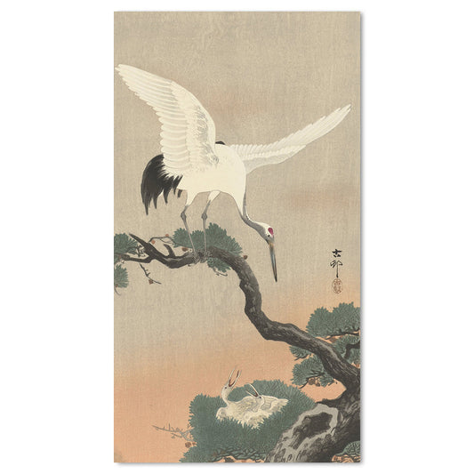 wall-art-print-canvas-poster-framed-Japanese Crane On Pine Branch, 1900-30, By Ohara Koson-by-Gioia Wall Art-Gioia Wall Art