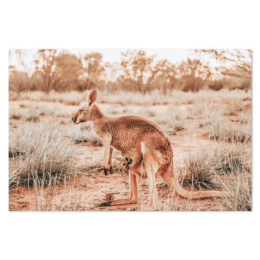 wall-art-print-canvas-poster-framed-Kangaroo And Joey, Side Look, Western Australia-by-Gioia Wall Art-Gioia Wall Art