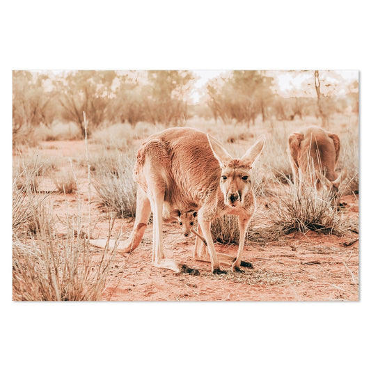 wall-art-print-canvas-poster-framed-Kangaroo And Joey, Western Australia-by-Gioia Wall Art-Gioia Wall Art