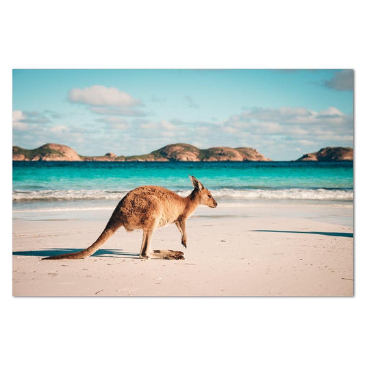 wall-art-print-canvas-poster-framed-Kangaroo At The Beach-by-Gioia Wall Art-Gioia Wall Art