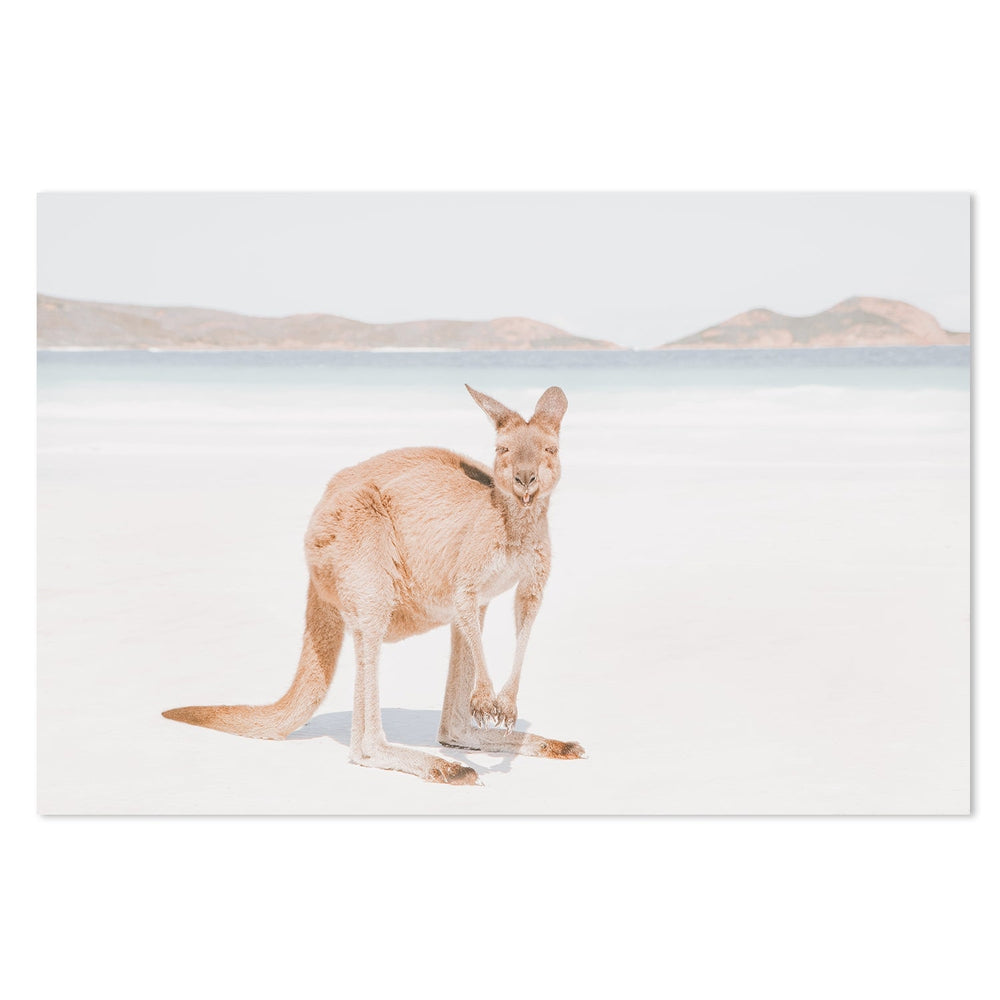 wall-art-print-canvas-poster-framed-Kangaroo On Esperance Beach-by-Gioia Wall Art-Gioia Wall Art