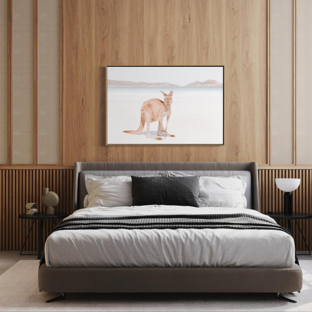 wall-art-print-canvas-poster-framed-Kangaroo On Esperance Beach-by-Gioia Wall Art-Gioia Wall Art