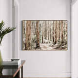 wall-art-print-canvas-poster-framed-Karri Forest-by-Gioia Wall Art-Gioia Wall Art