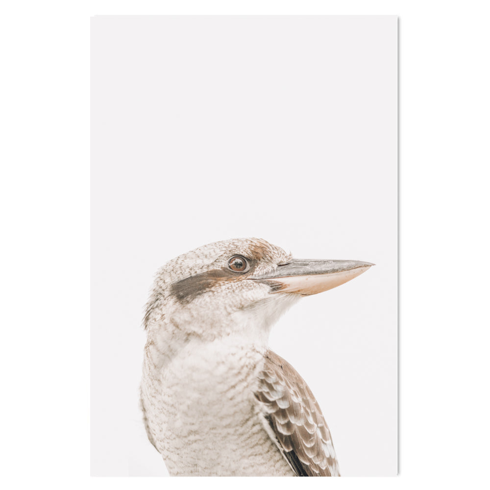 wall-art-print-canvas-poster-framed-Kookaburra-by-Gioia Wall Art-Gioia Wall Art