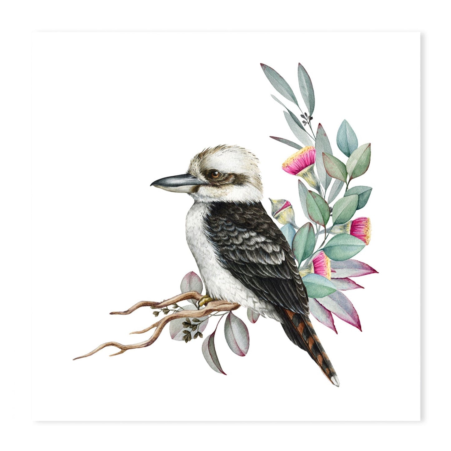 wall-art-print-canvas-poster-framed-Kookaburra In Watercolour-GIOIA-WALL-ART