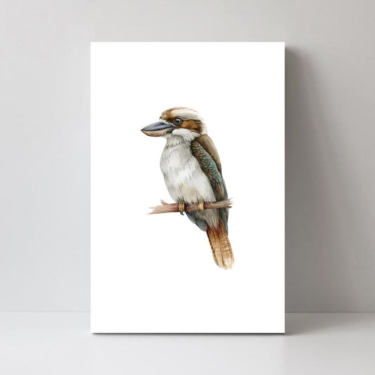 wall-art-print-canvas-poster-framed-Kookaburra Sitting-by-Gioia Wall Art-Gioia Wall Art