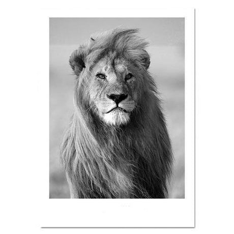 wall-art-print-canvas-poster-framed-Lion In The Wind-by-Gioia Wall Art-Gioia Wall Art