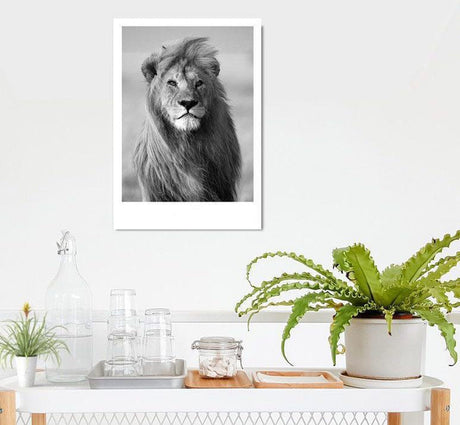 wall-art-print-canvas-poster-framed-Lion In The Wind-by-Gioia Wall Art-Gioia Wall Art