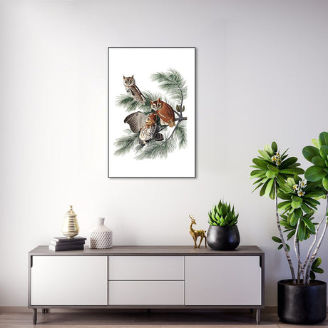 wall-art-print-canvas-poster-framed-Little Screech Owl, By John James Audubon-by-Gioia Wall Art-Gioia Wall Art