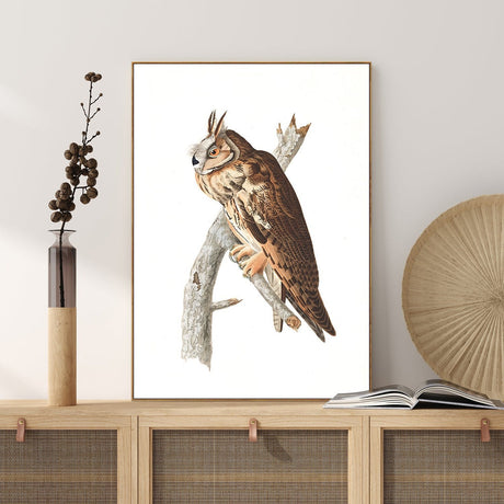 wall-art-print-canvas-poster-framed-Long Eared Owl, By John James Audubon-by-Gioia Wall Art-Gioia Wall Art