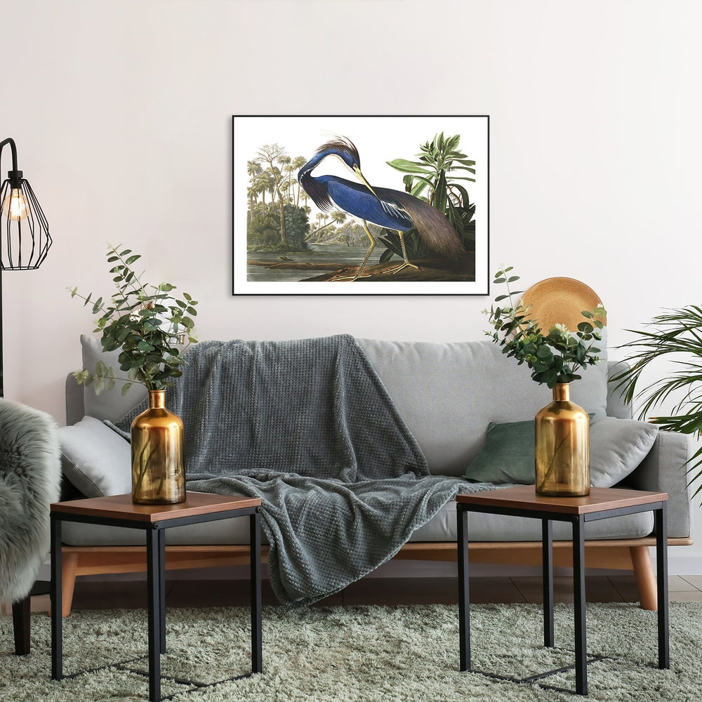 wall-art-print-canvas-poster-framed-Louisiana Heron, By John James Audubon-by-Gioia Wall Art-Gioia Wall Art