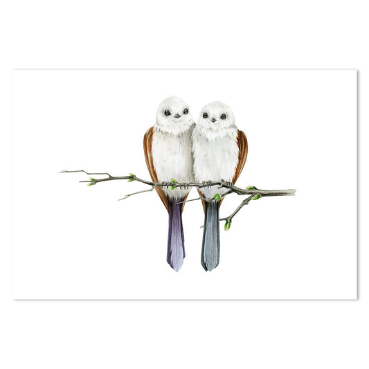 wall-art-print-canvas-poster-framed-Loving Pair Of Owls-by-Gioia Wall Art-Gioia Wall Art