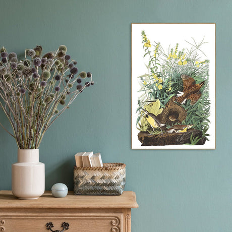 wall-art-print-canvas-poster-framed-Meadow Lark, By John James Audubon-by-Gioia Wall Art-Gioia Wall Art