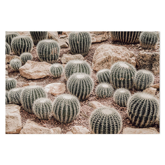 wall-art-print-canvas-poster-framed-Mini Cactus Plants-by-Gioia Wall Art-Gioia Wall Art