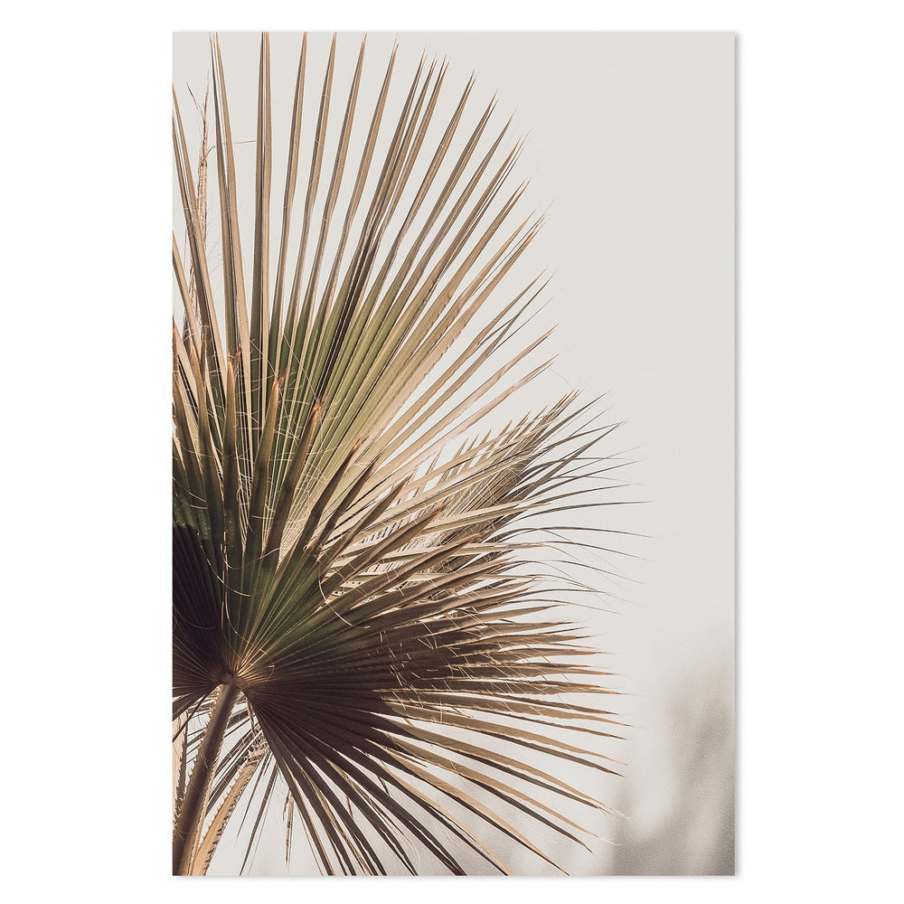 wall-art-print-canvas-poster-framed-Minimal Palm Leaf-by-Gioia Wall Art-Gioia Wall Art