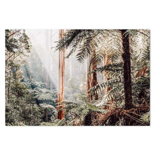 Native Australian Rainforest - Eucalyptus Trees and Ferns-Gioia-Prints-Framed-Canvas-Poster-GIOIA-WALL-ART