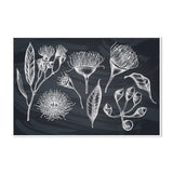 wall-art-print-canvas-poster-framed-Navy Native Plants-GIOIA-WALL-ART