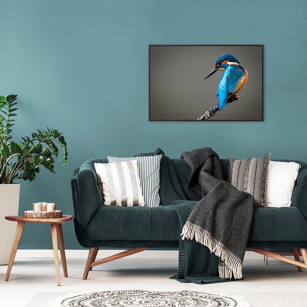 wall-art-print-canvas-poster-framed-Neon Blue And Orange Hummingbird-by-Gioia Wall Art-Gioia Wall Art