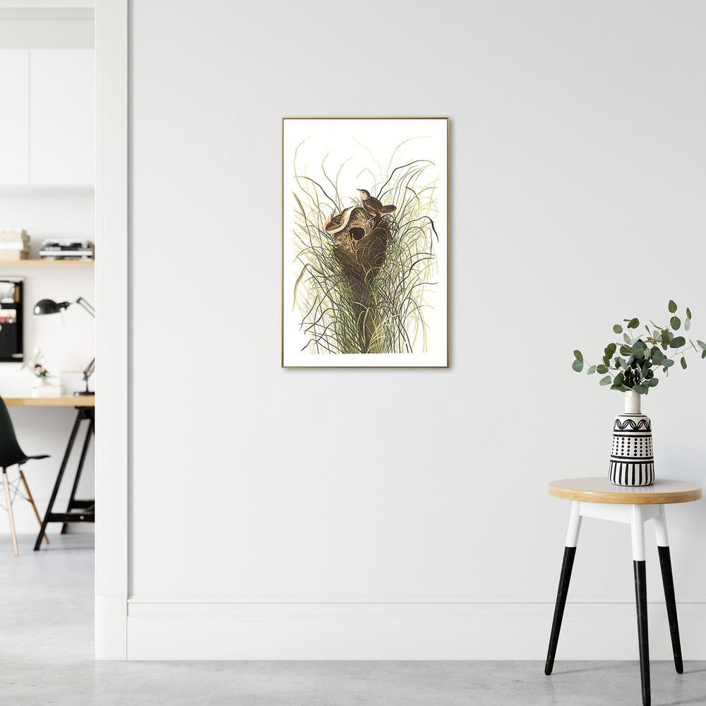 wall-art-print-canvas-poster-framed-Nuttals Lesser Marsh Wren By, John James Audubon-by-Gioia Wall Art-Gioia Wall Art