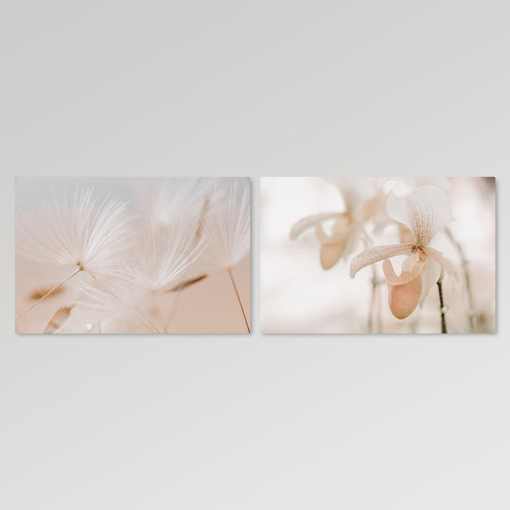 wall-art-print-canvas-poster-framed-Orchid And Dandelion Closeup, Set Of 2-by-Gioia Wall Art-Gioia Wall Art