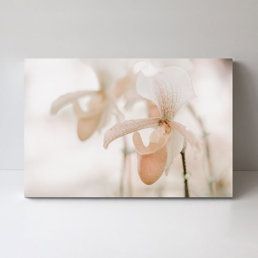 wall-art-print-canvas-poster-framed-Orchid Closeup-by-Gioia Wall Art-Gioia Wall Art