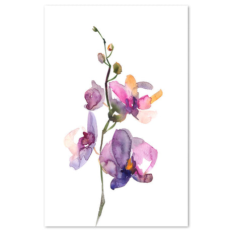 wall-art-print-canvas-poster-framed-Orchid Painting,Watercolour Style-by-Gioia Wall Art-Gioia Wall Art