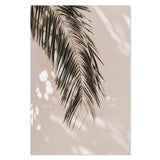 wall-art-print-canvas-poster-framed-Palm Leaf Shadows-by-Gioia Wall Art-Gioia Wall Art