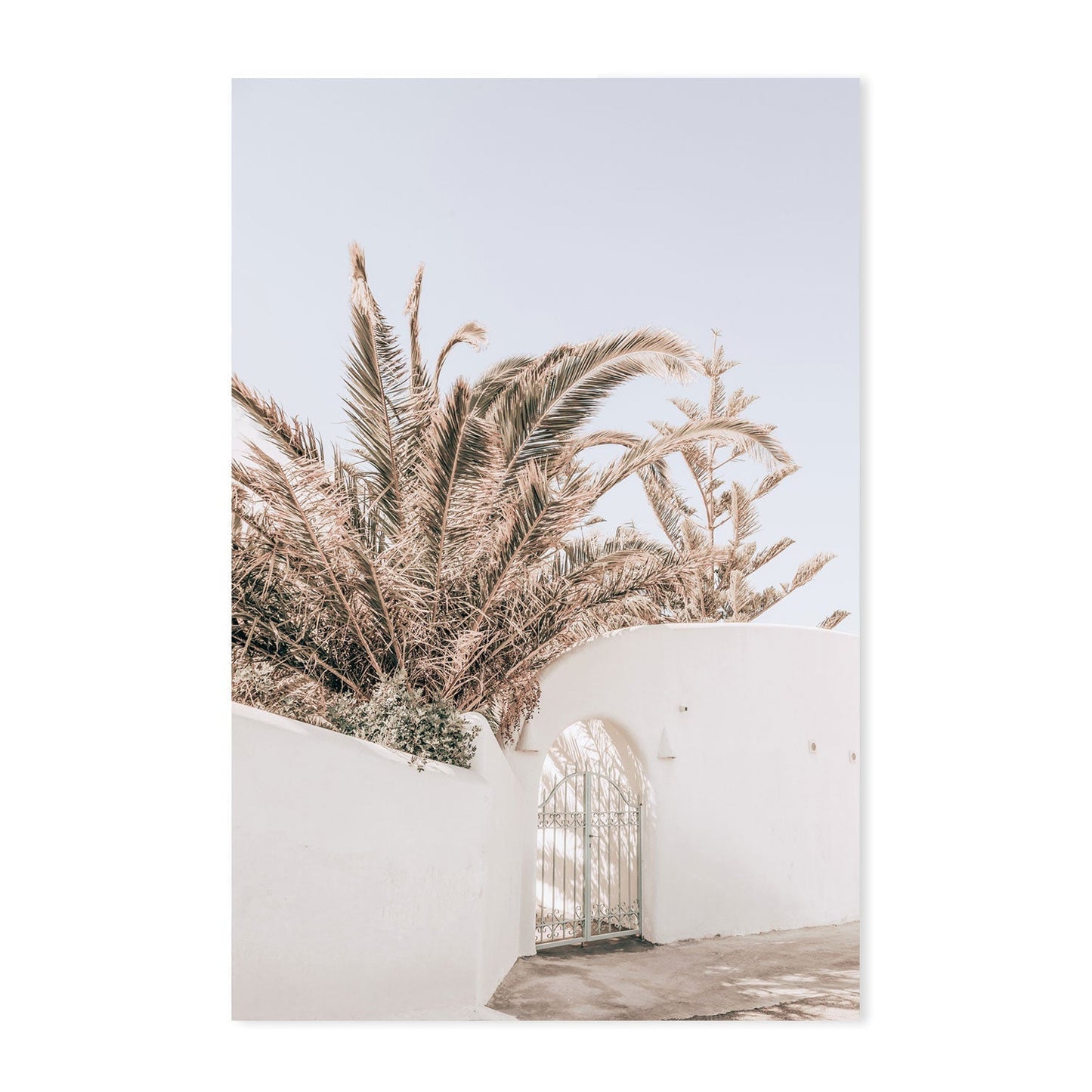 Palm tree behind the white wall, Santorini-Gioia-Prints-Framed-Canvas-Poster-GIOIA-WALL-ART