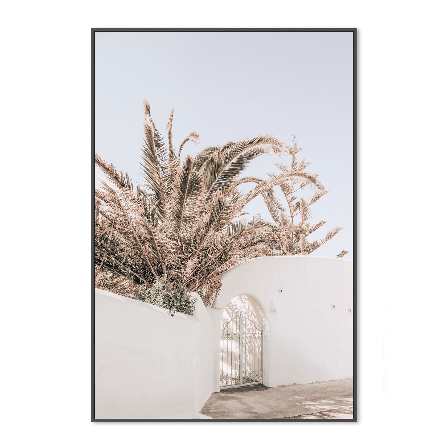 Palm tree behind the white wall, Santorini-Gioia-Prints-Framed-Canvas-Poster-GIOIA-WALL-ART