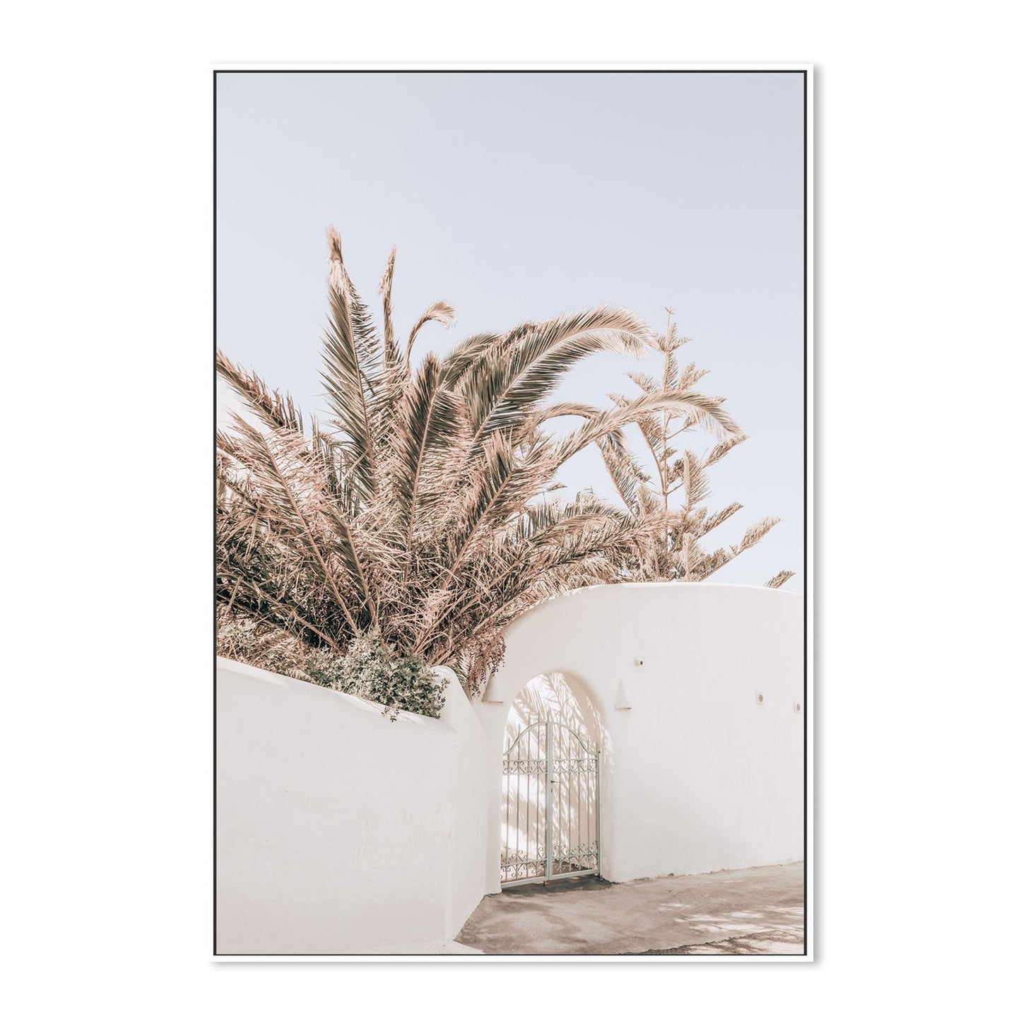 Palm tree behind the white wall, Santorini-Gioia-Prints-Framed-Canvas-Poster-GIOIA-WALL-ART