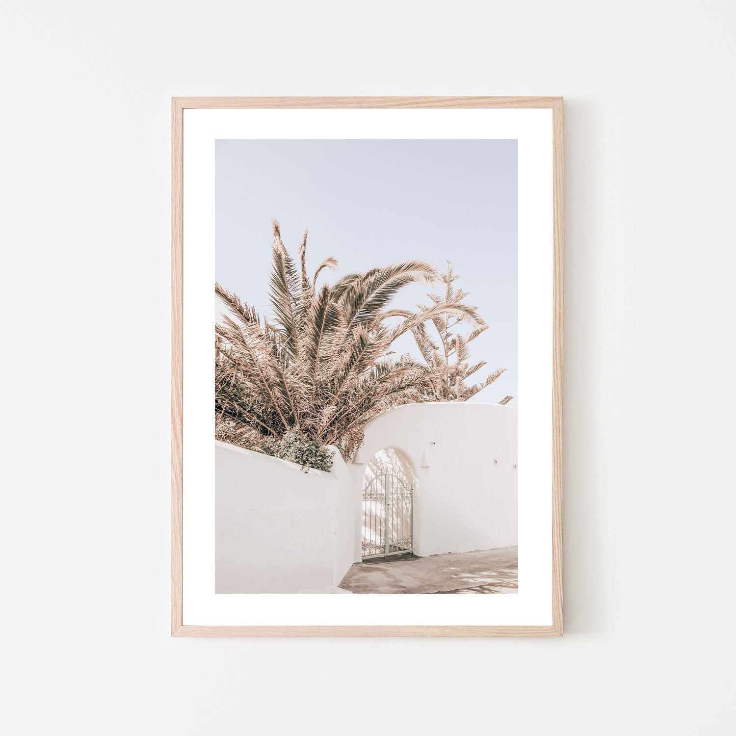 Palm tree behind the white wall, Santorini-Gioia-Prints-Framed-Canvas-Poster-GIOIA-WALL-ART