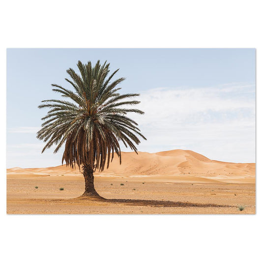 wall-art-print-canvas-poster-framed-Palm Tree In Desert-by-Gioia Wall Art-Gioia Wall Art