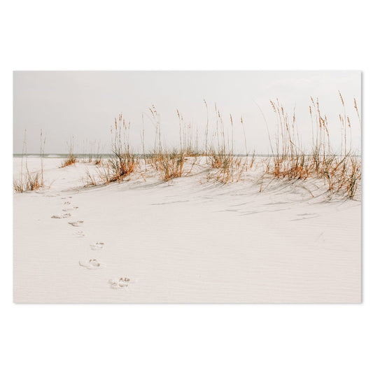 Buy Path To The Ocean Wall Art Online, Framed Canvas Or Poster