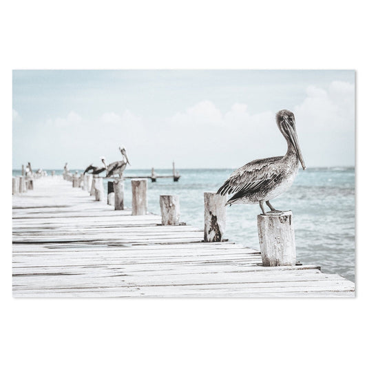 wall-art-print-canvas-poster-framed-Pelican At The Pier , Soft Tone-by-Gioia Wall Art-Gioia Wall Art