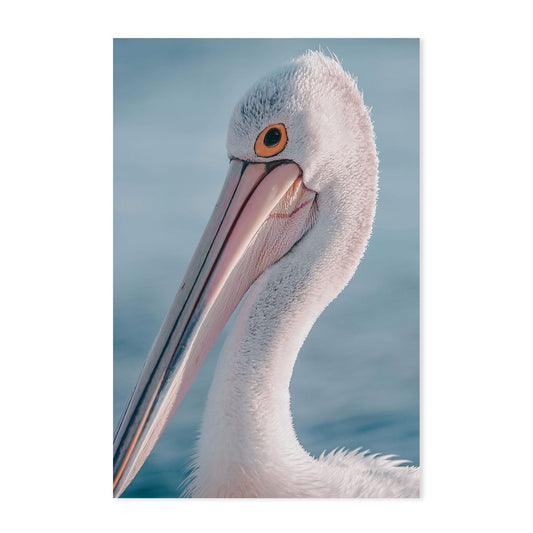 wall-art-print-canvas-poster-framed-Pelican By The Sea-GIOIA-WALL-ART