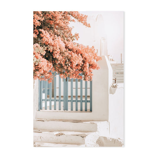 Pink Bougainvillea Flower and Blue Fence in Santorini-Gioia-Prints-Framed-Canvas-Poster-GIOIA-WALL-ART