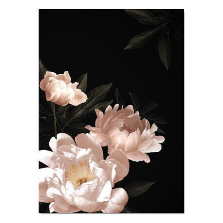 wall-art-print-canvas-poster-framed-Pink Peony In Black Background-by-Gioia Wall Art-Gioia Wall Art