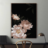 wall-art-print-canvas-poster-framed-Pink Peony In Black Background-by-Gioia Wall Art-Gioia Wall Art