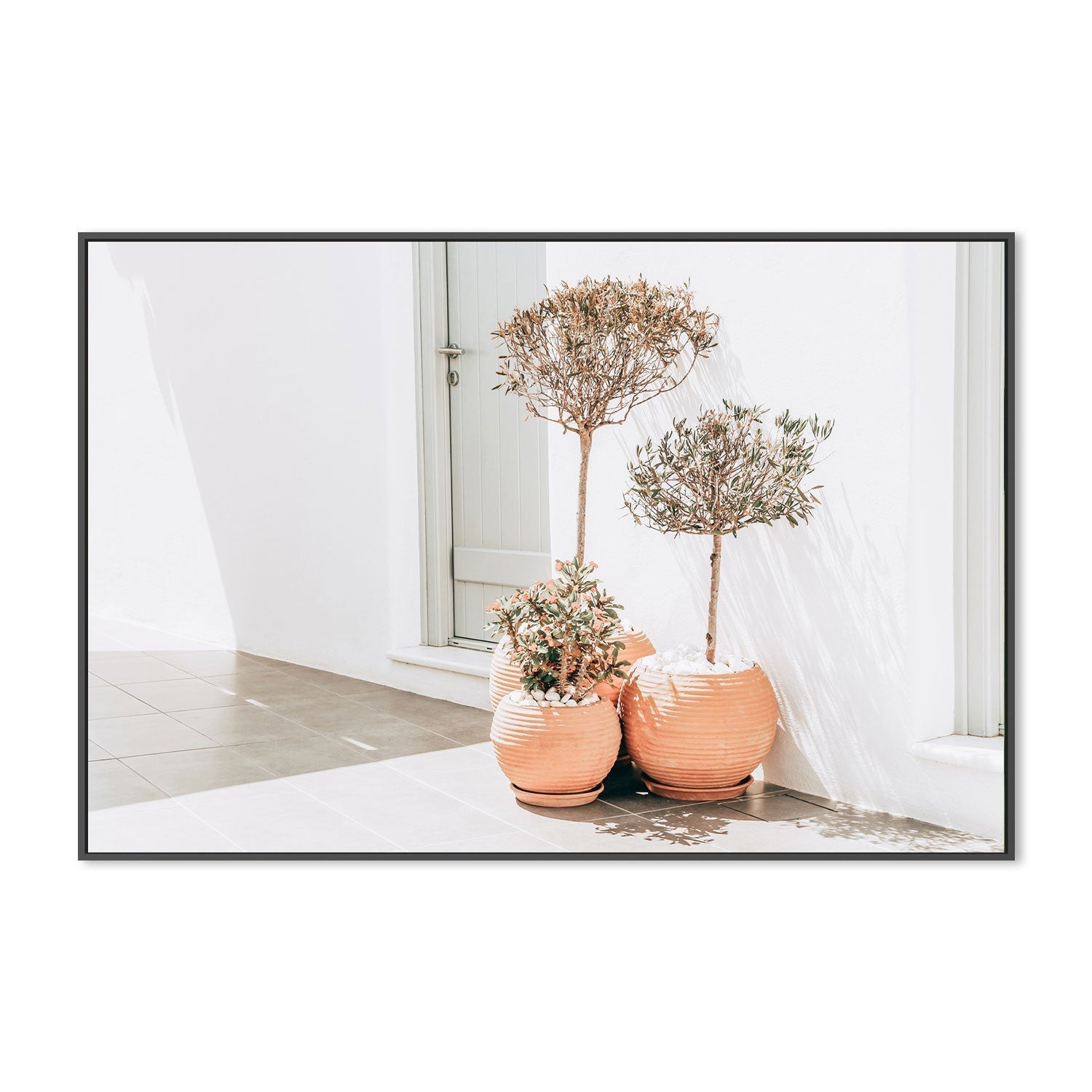 Plant pots at the corner, Santorini, Greece-Gioia-Prints-Framed-Canvas-Poster-GIOIA-WALL-ART