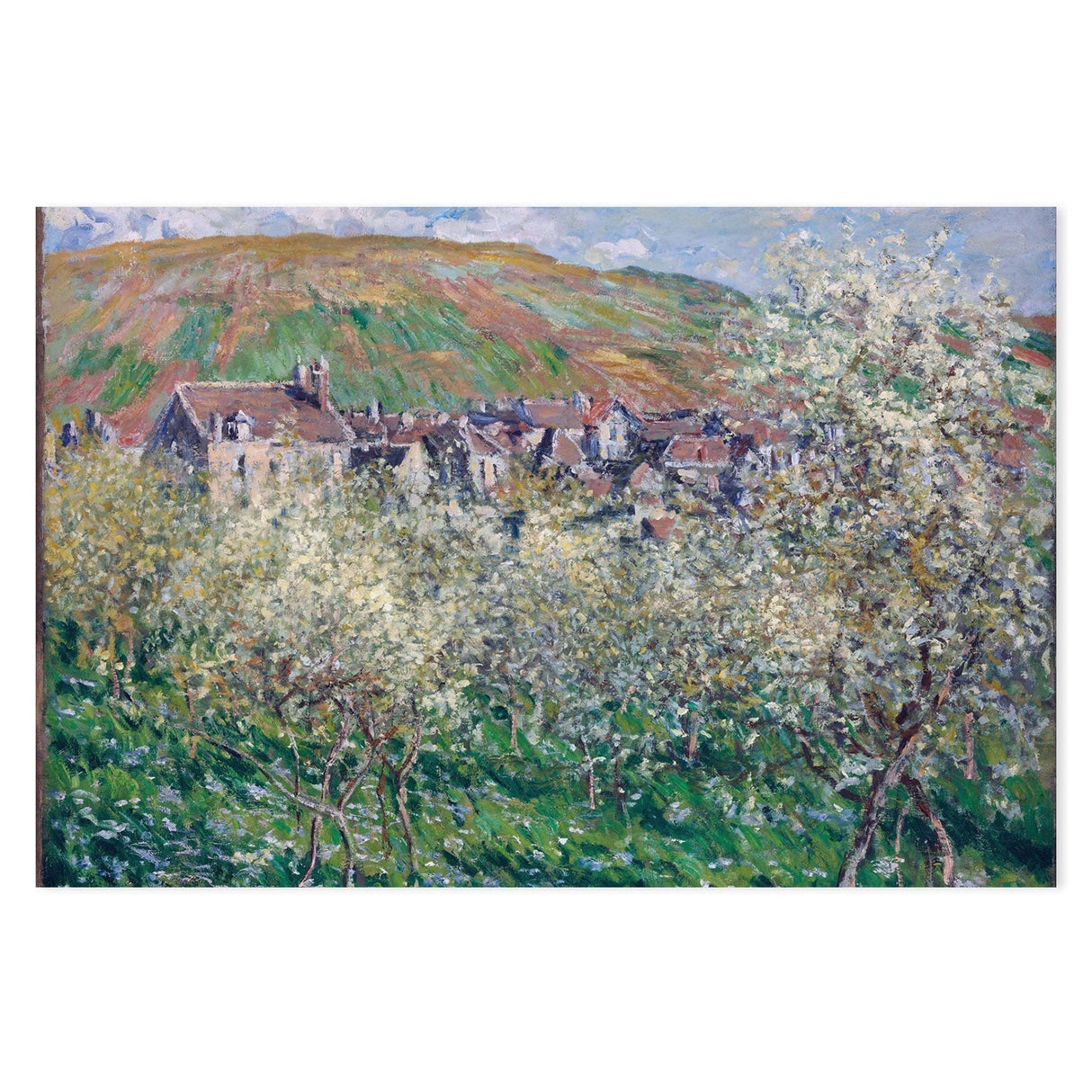 wall-art-print-canvas-poster-framed-Plum Trees in Blossom at Vetheuil 1879 , By Monet-by-Gioia Wall Art-Gioia Wall Art