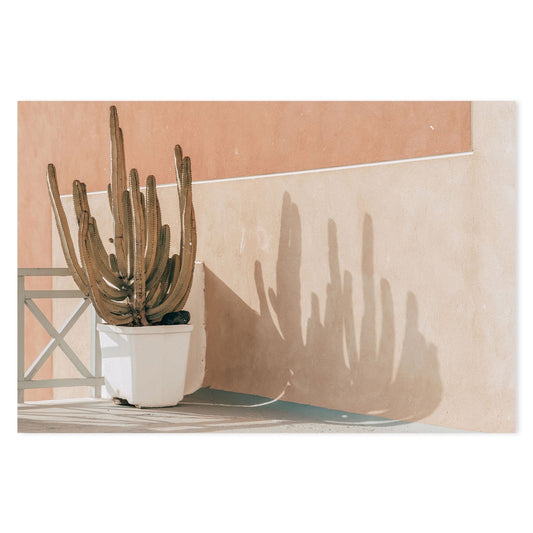 Potted cactus in Santorini-Gioia-Prints-Framed-Canvas-Poster-GIOIA-WALL-ART