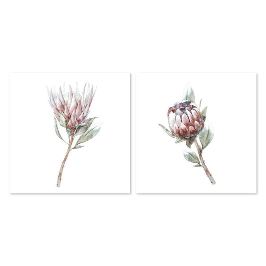 wall-art-print-canvas-poster-framed-Protea Pair, Watercolour Painting Style, Set Of 2-by-Gioia Wall Art-Gioia Wall Art