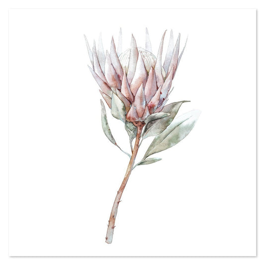 wall-art-print-canvas-poster-framed-Protea Pair, Watercolour Painting Style, Style A-by-Gioia Wall Art-Gioia Wall Art