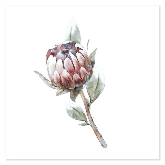 wall-art-print-canvas-poster-framed-Protea Pair, Watercolour Painting Style, Style B-by-Gioia Wall Art-Gioia Wall Art