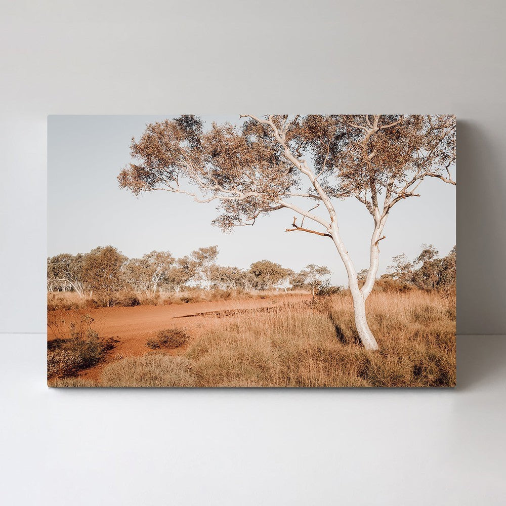 wall-art-print-canvas-poster-framed-Red Center, Bush And Gum Tree In The Outback Australia-by-Gioia Wall Art-Gioia Wall Art